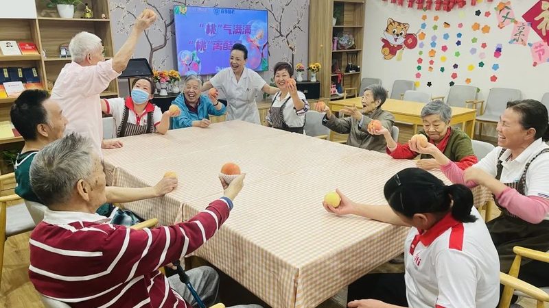 养老院营业执照代办，揭秘合规之路